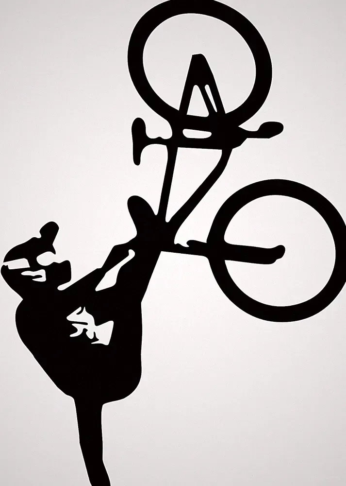 Flip Whip Slopestyle Dirt Jump Freeride Decal Sticker DJ Bike MTB FMB